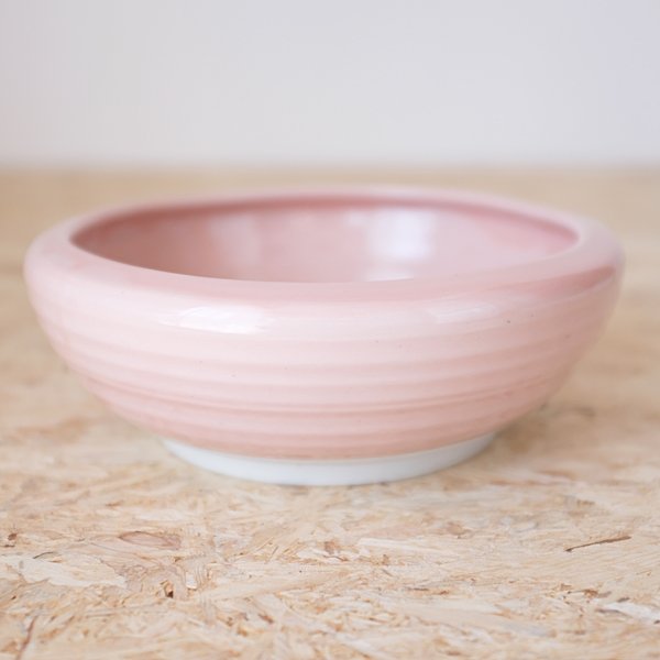 Bumpy Bowl -sakura- - tomoni CLASS