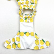 画像6: Original cool top-Lemon (6)