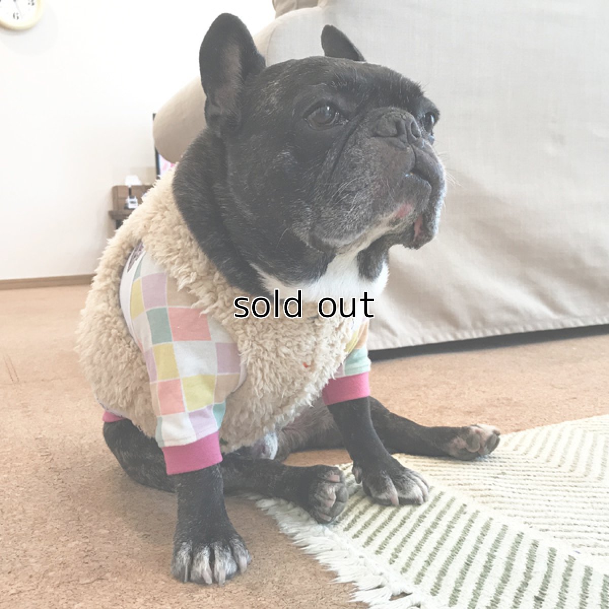 画像8: Chokki-Happy (8)