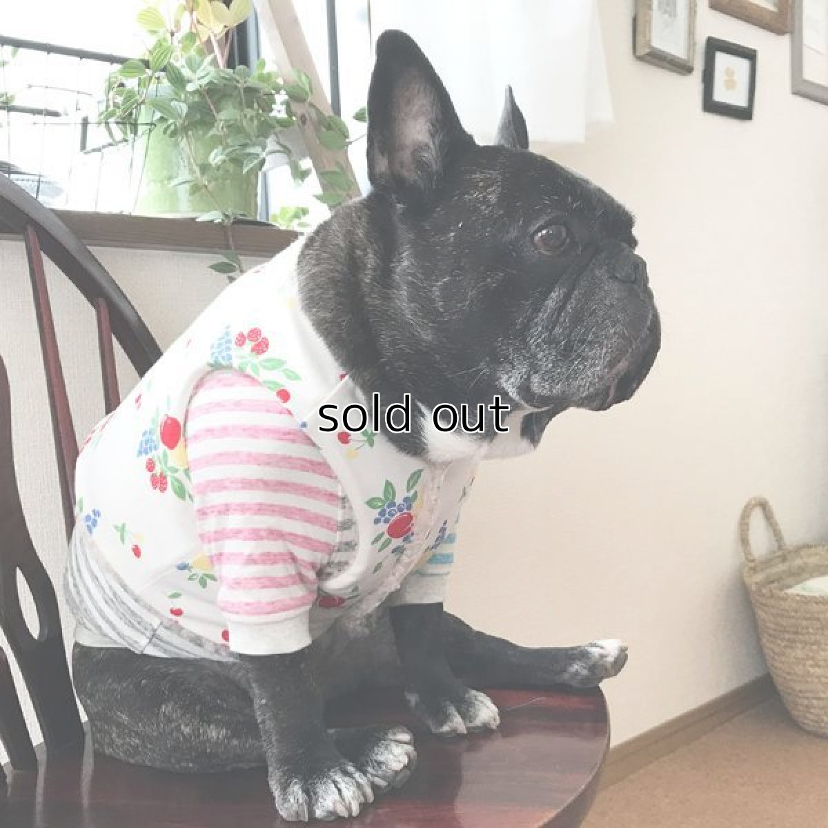 画像8: Chokki-Fruits garden (8)