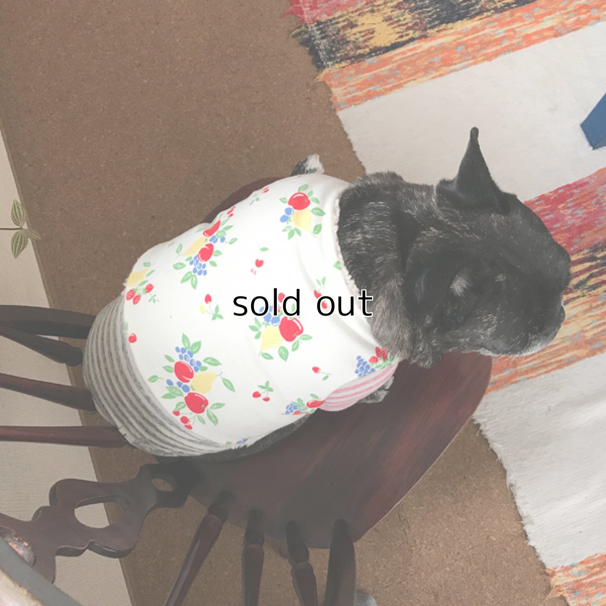 画像9: Chokki-Fruits garden (9)