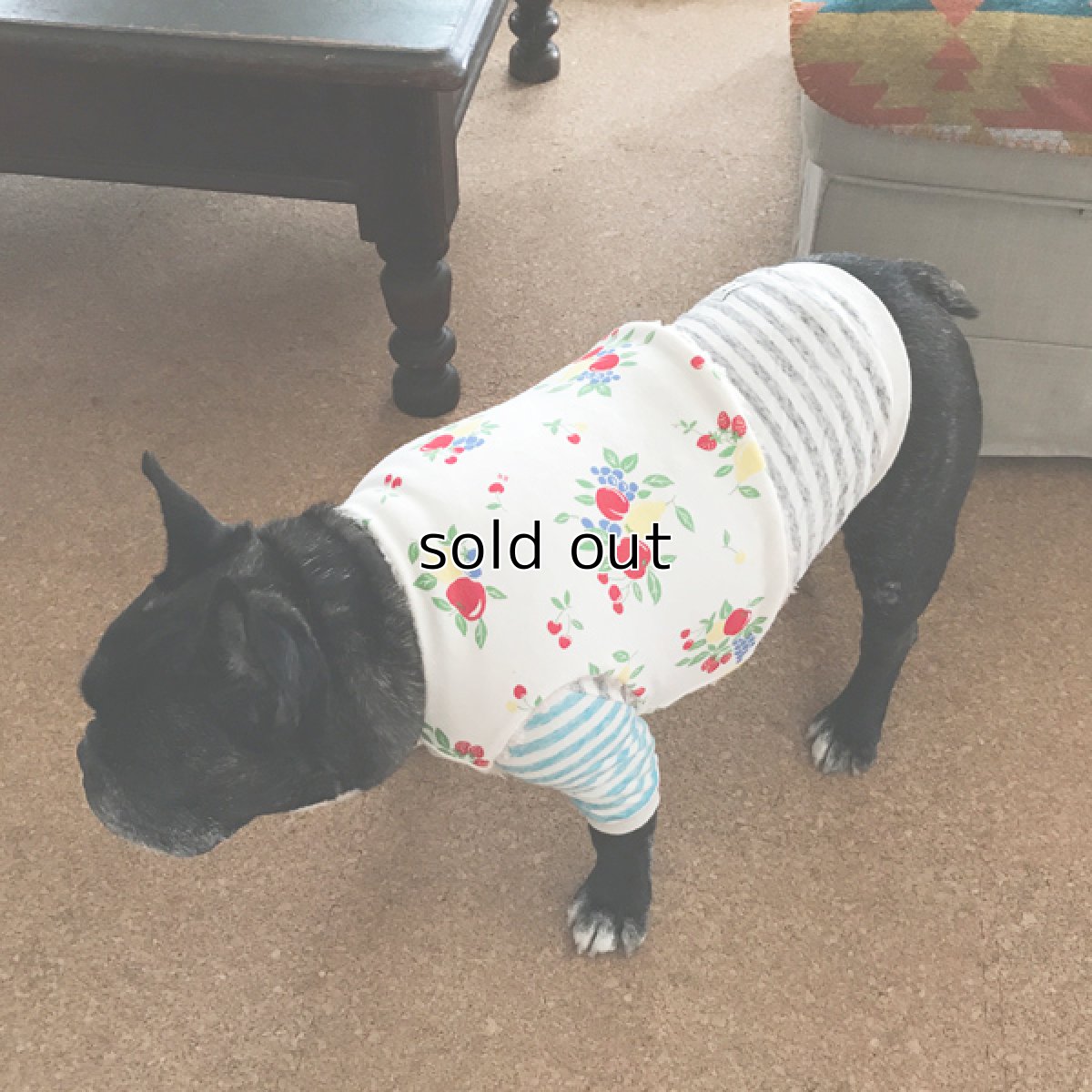 画像10: Chokki-Fruits garden (10)