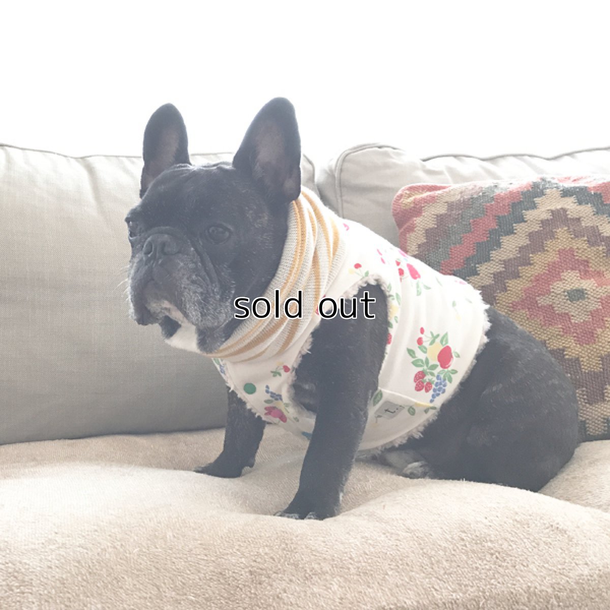 画像11: Chokki-Fruits garden (11)