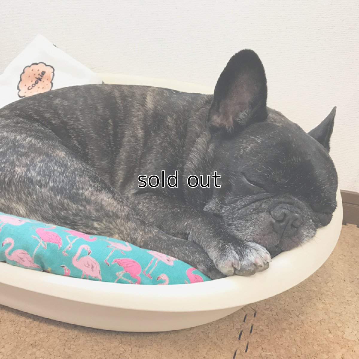 画像6: Dog bed (6)