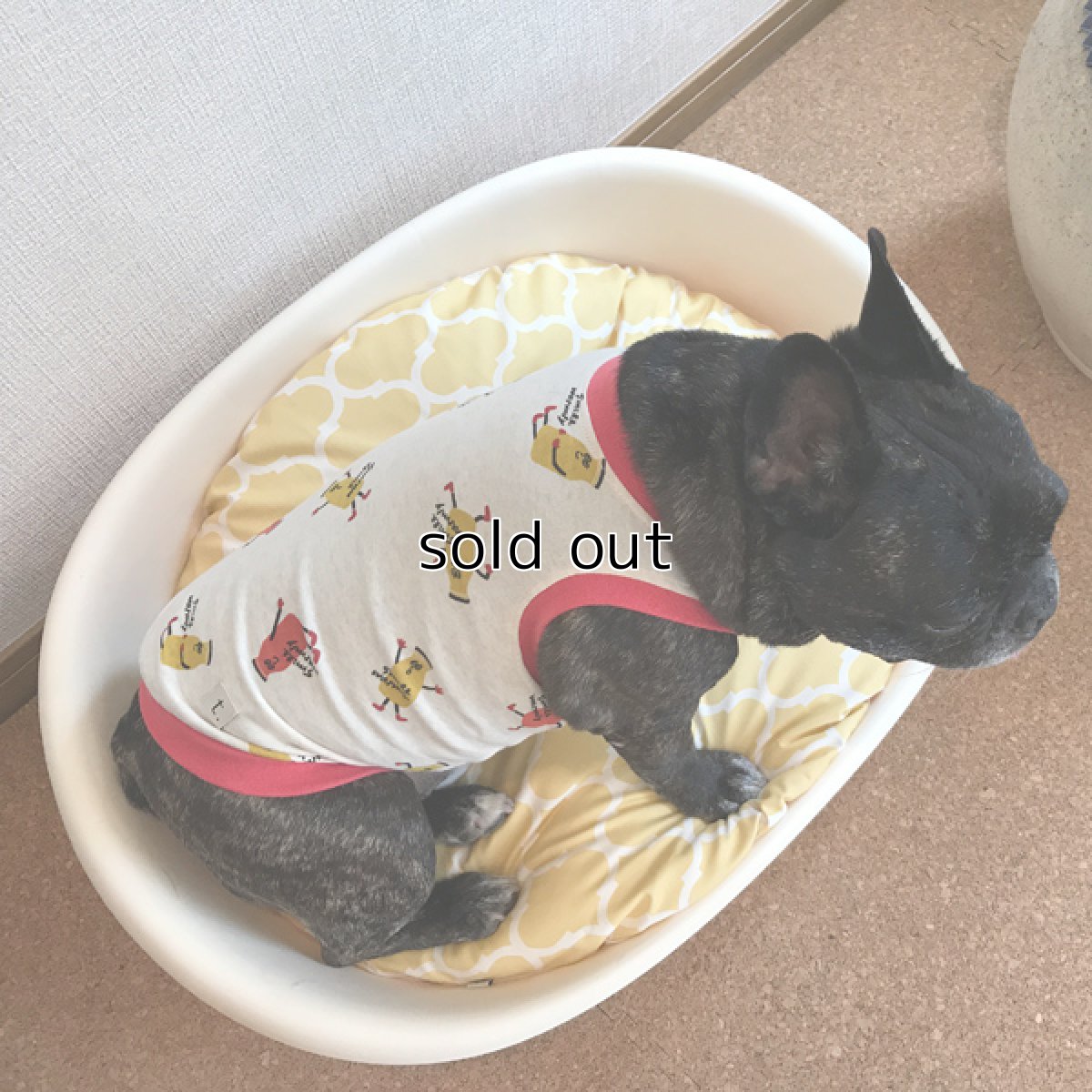 画像8: Dog bed (8)